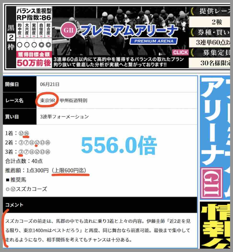 レープロという競馬予想で最近的中したレース結果